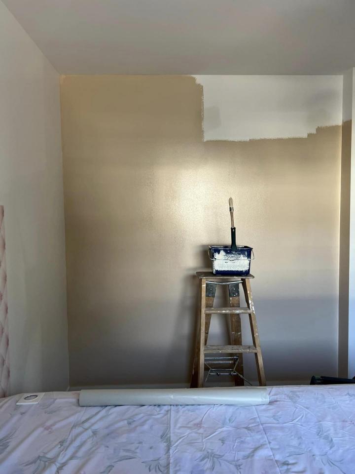 Poser le revêtement mural adapté Saint-Genis-Pouilly